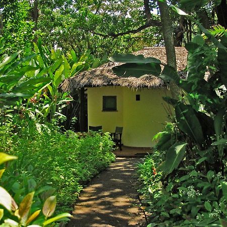 Moivaro Coffee Plantation Lodge アルーシャ エクステリア 写真