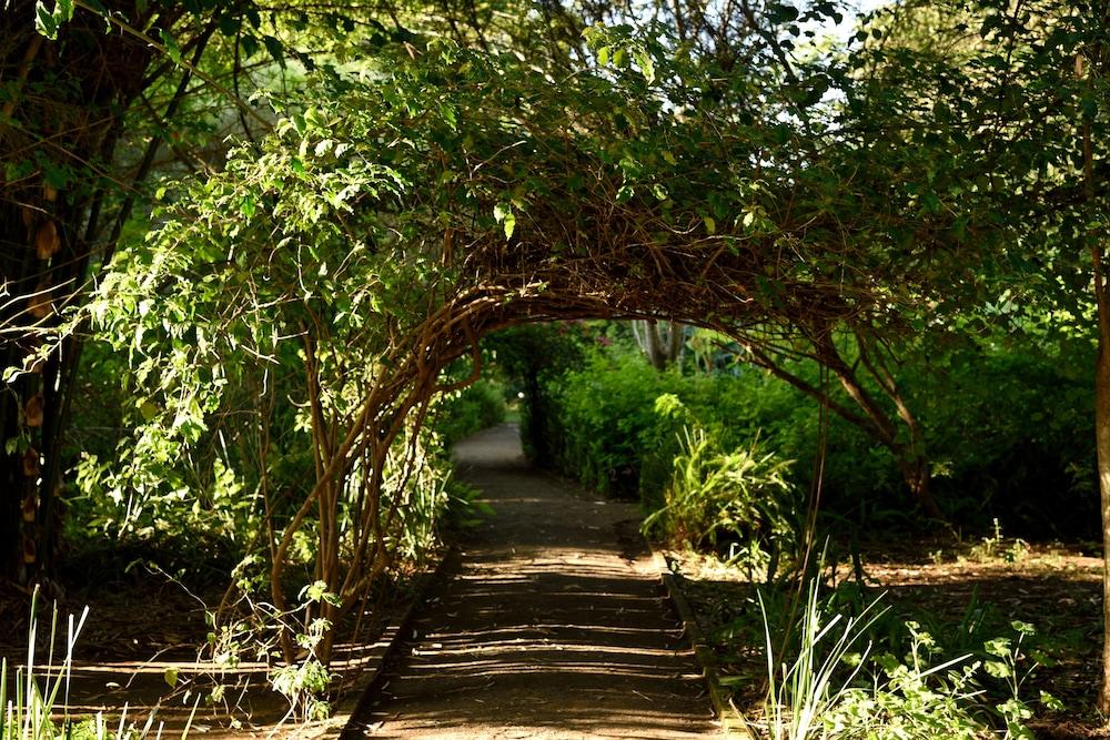 Moivaro Coffee Plantation Lodge アルーシャ エクステリア 写真