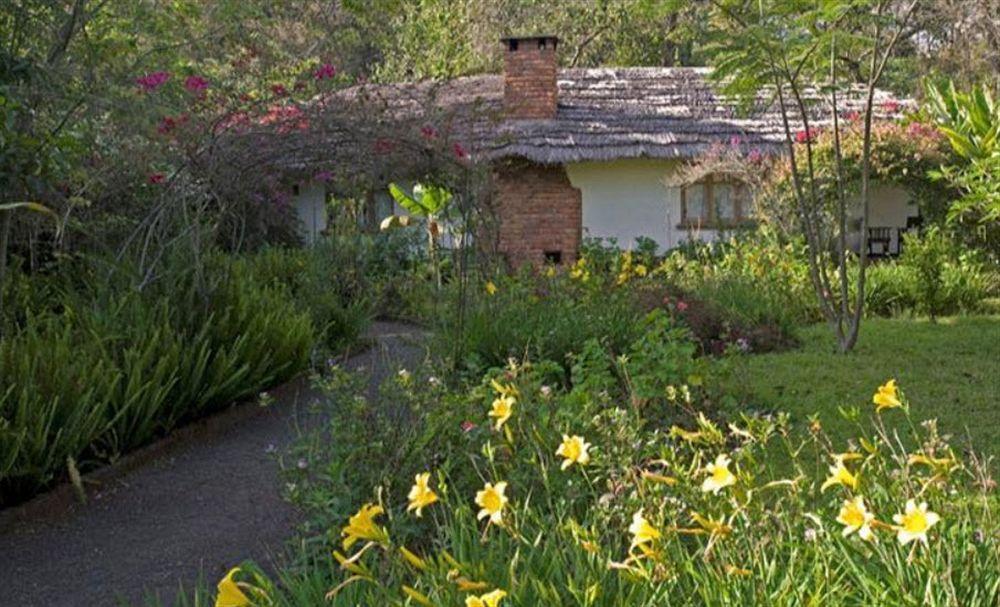 Moivaro Coffee Plantation Lodge アルーシャ エクステリア 写真